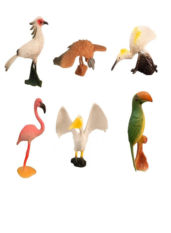 DTR Creation Pack of 6 Bird Figurines | Realistic Wild Bird Toys for Kids | Educational Animal Figures for Boys & Girls | Durable Plastic Miniature Birds for Learning, Projects & Home Décor - Image 1